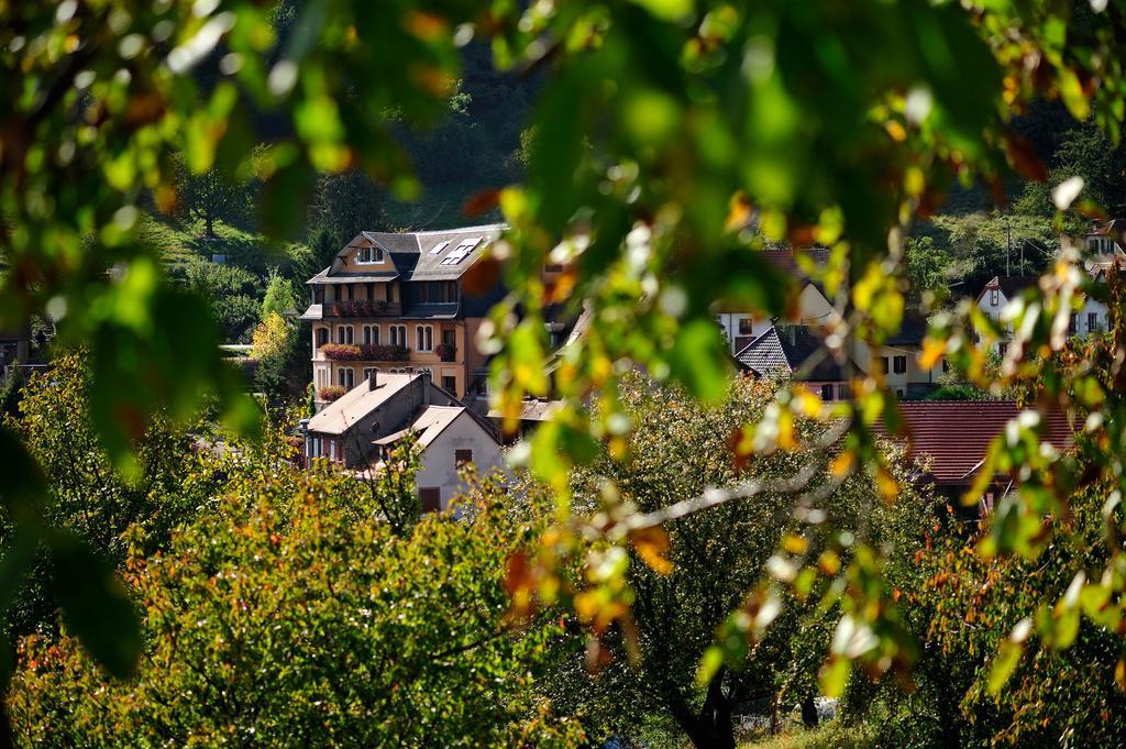 Le Clos Des Sources Hotel & Spa Танненкирш Экстерьер фото